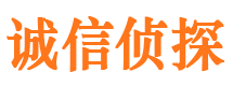 新会市场调查